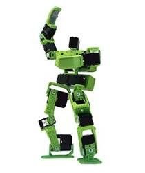 DONGBU ROBOT HOVIS LITE