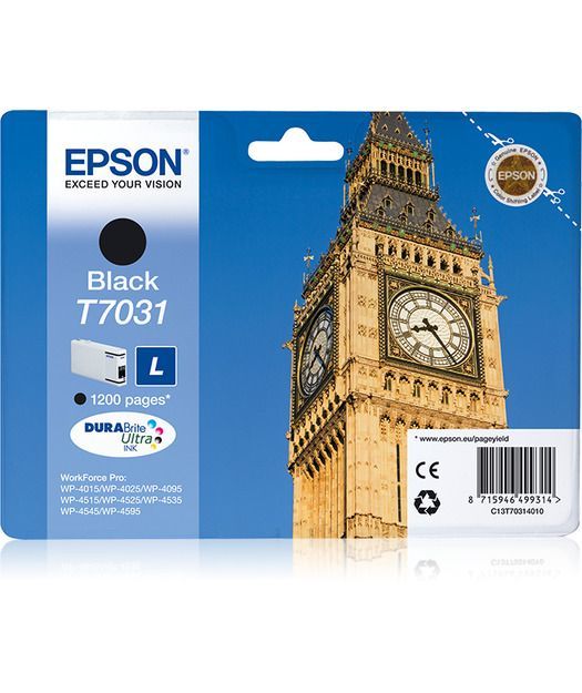 Epson T703140 Mürekkep Kartuş (L) Black