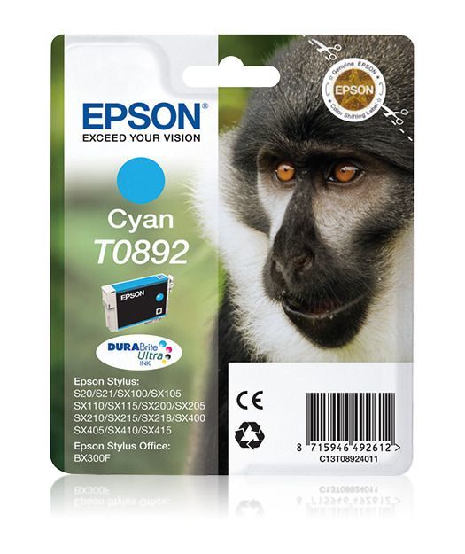 Epson T089240 Mürekkep Kartuş