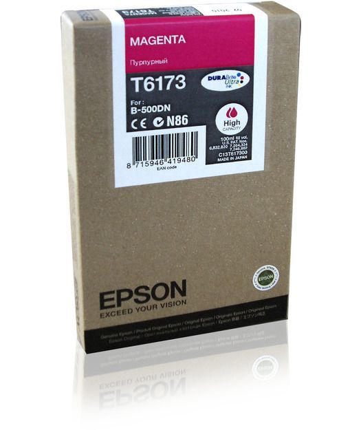 Epson T617300 Mürekkep Kartuş